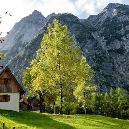 Cottages Kravanja Trenta Dış mekan fotoğraf