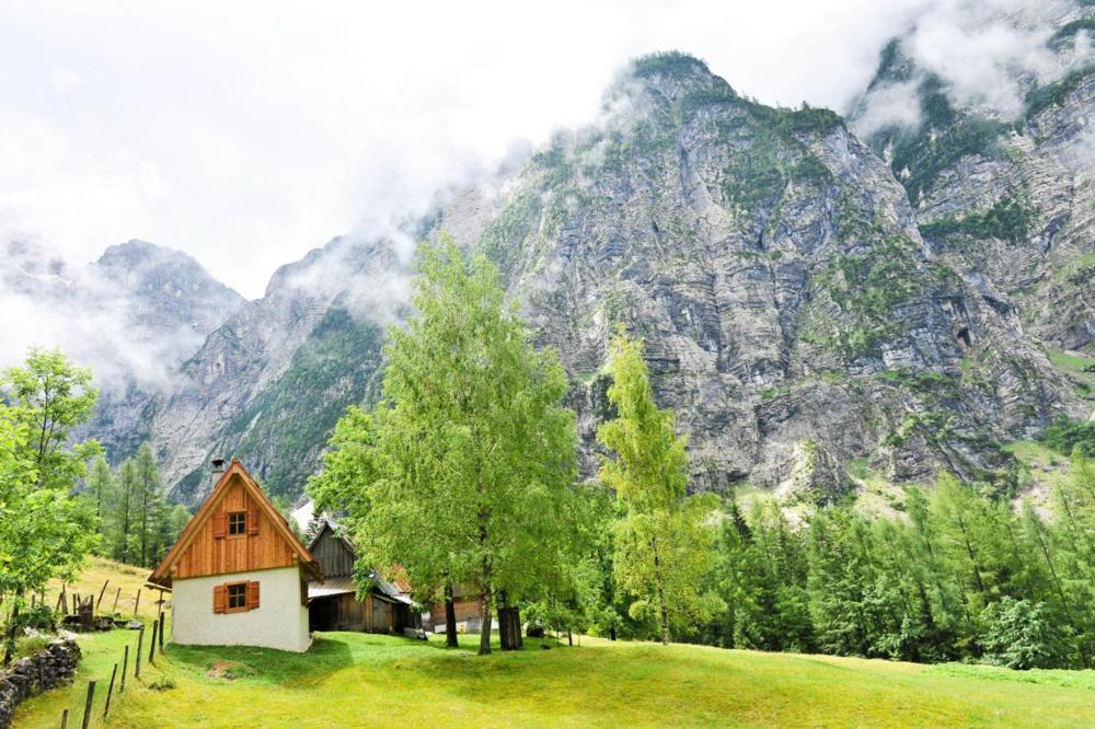 Cottages Kravanja Trenta Dış mekan fotoğraf