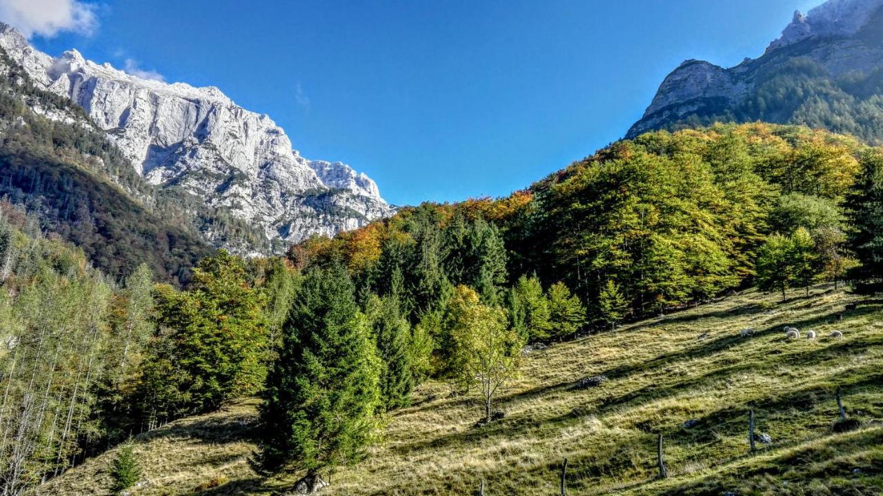 Cottages Kravanja Trenta Dış mekan fotoğraf