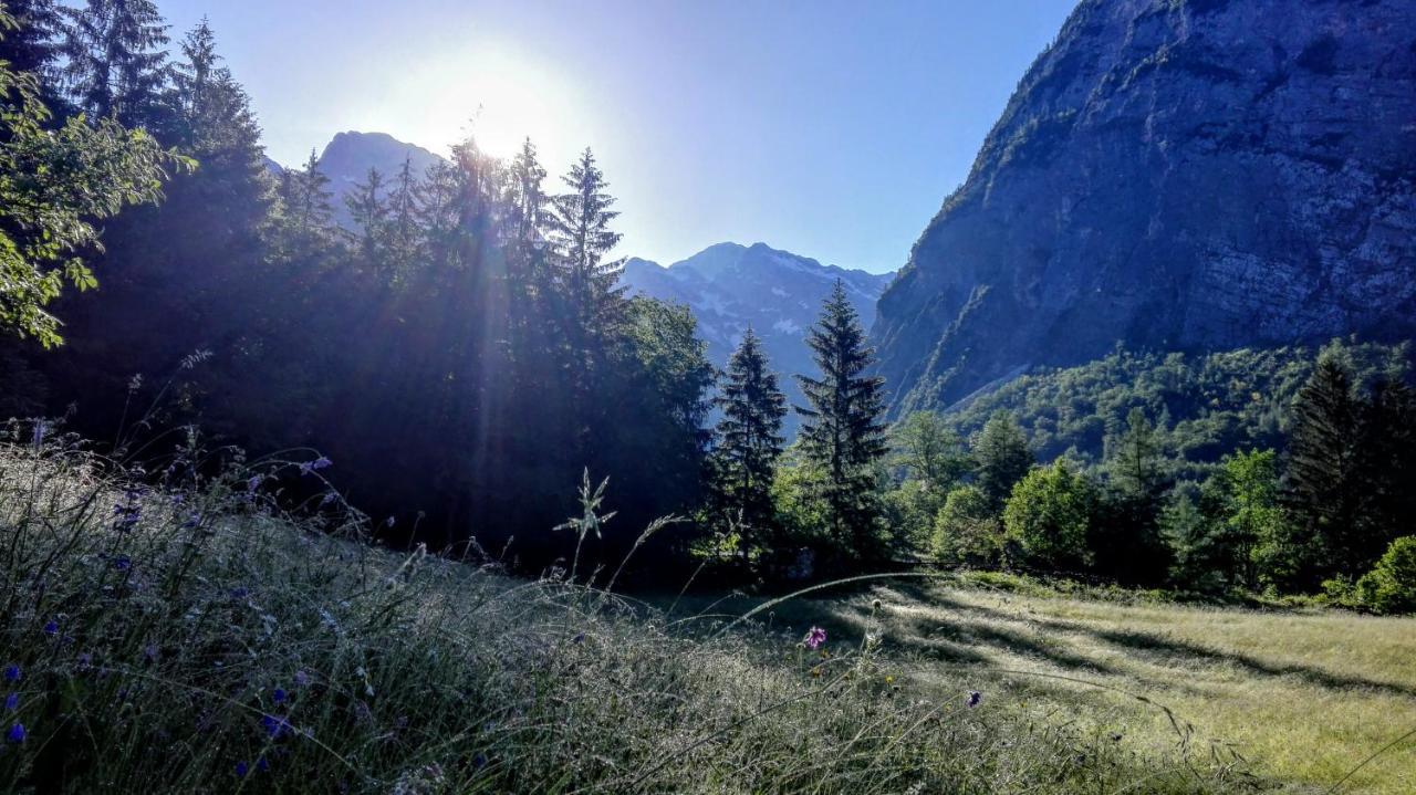Cottages Kravanja Trenta Dış mekan fotoğraf