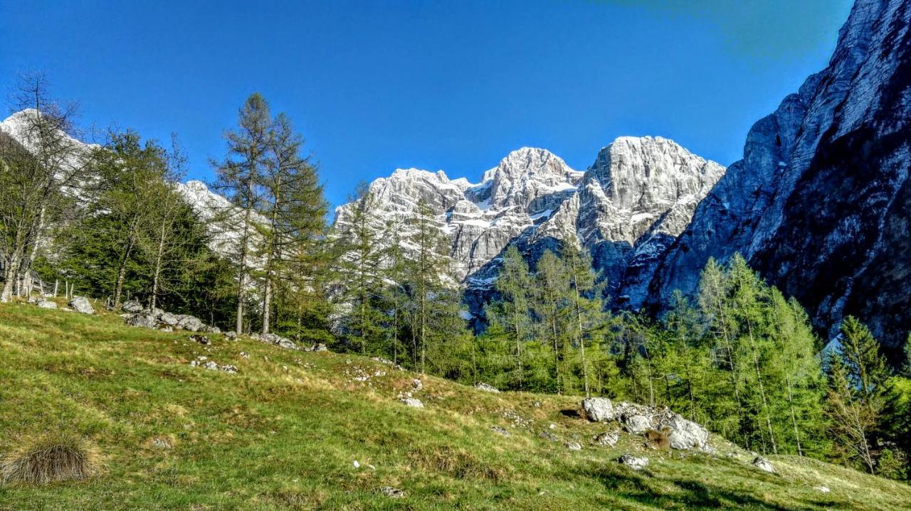 Cottages Kravanja Trenta Dış mekan fotoğraf