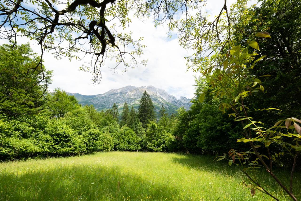 Cottages Kravanja Trenta Dış mekan fotoğraf