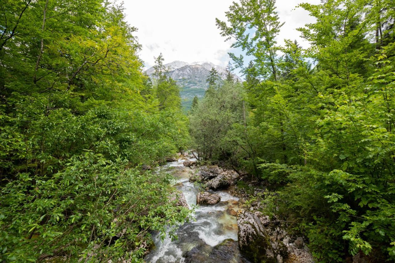 Cottages Kravanja Trenta Dış mekan fotoğraf
