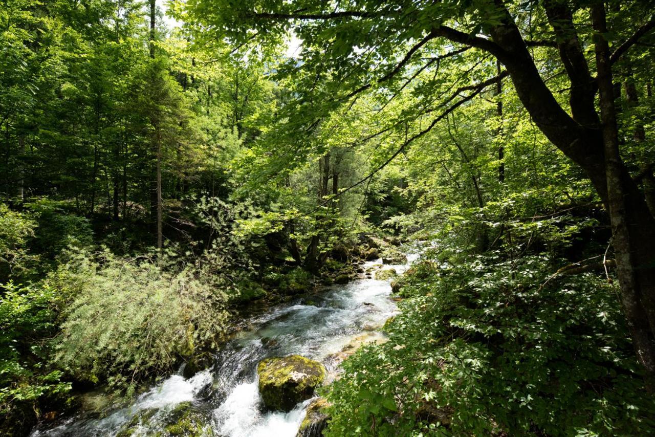 Cottages Kravanja Trenta Dış mekan fotoğraf