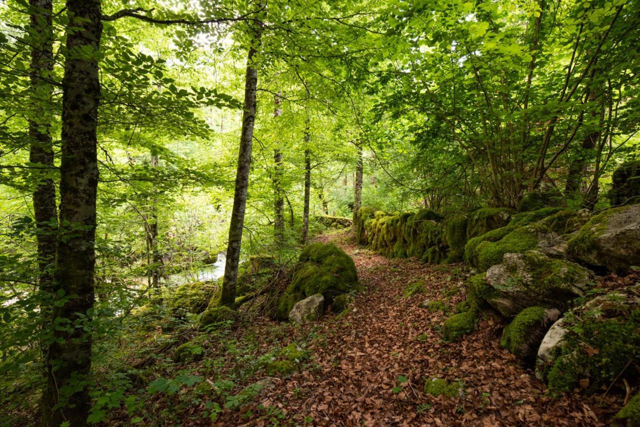 Cottages Kravanja Trenta Dış mekan fotoğraf