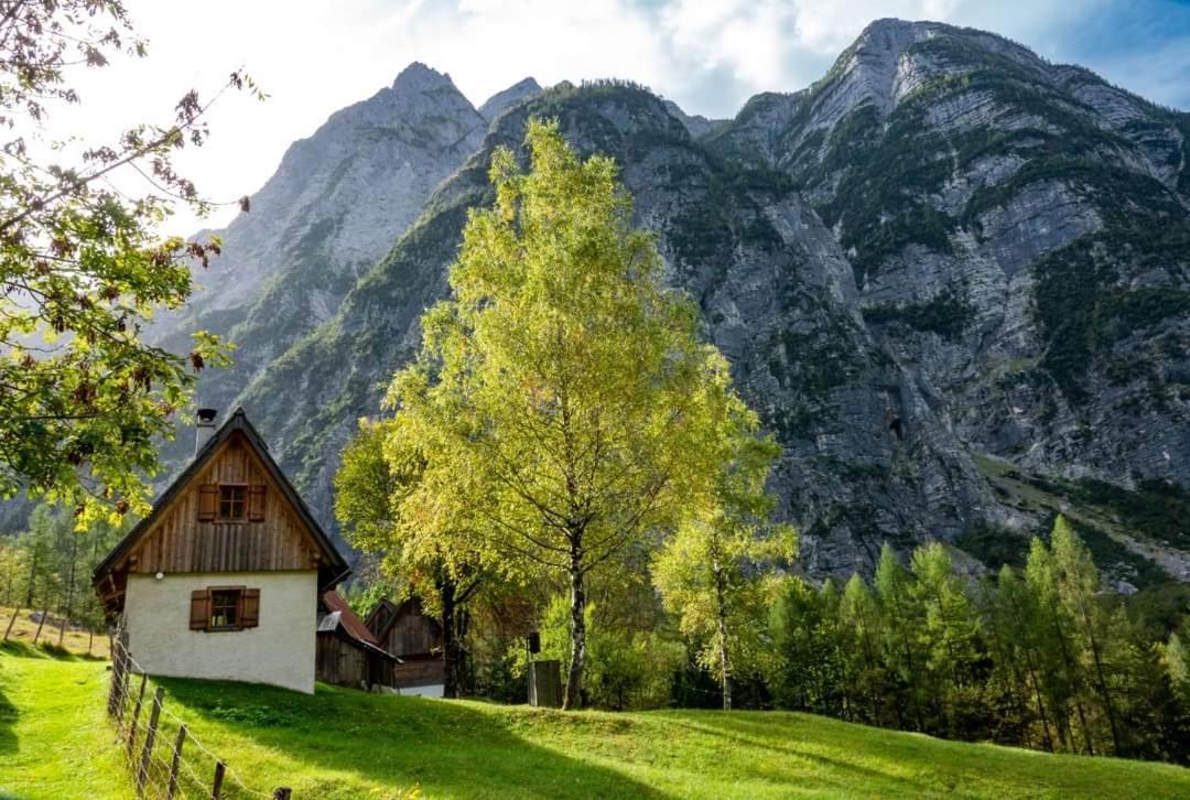 Cottages Kravanja Trenta Dış mekan fotoğraf